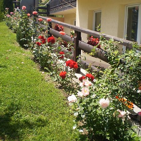 Apartments Vila Velickovic Zlatibor Ngoại thất bức ảnh