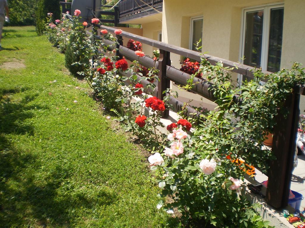 Apartments Vila Velickovic Zlatibor Ngoại thất bức ảnh