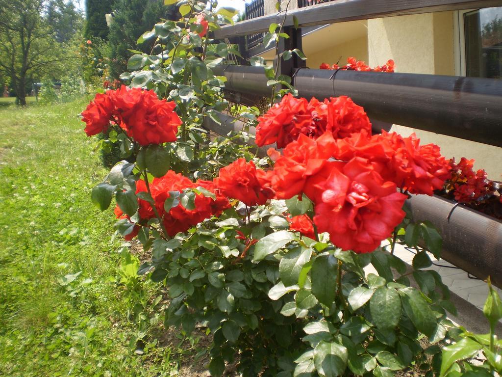 Apartments Vila Velickovic Zlatibor Ngoại thất bức ảnh
