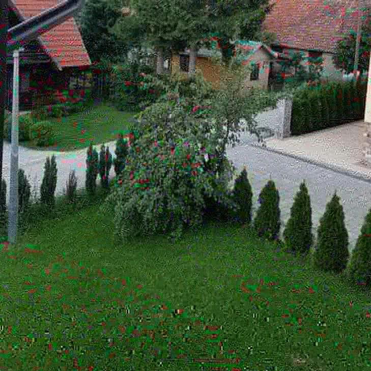 Apartments Vila Velickovic Zlatibor Ngoại thất bức ảnh